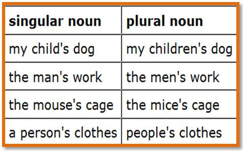Singular And Plural Possessive Nouns