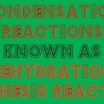 What Is Another Name For A Condensation Reaction?: Examples & More