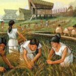 First/Second Agricultural Revolution: Definition, Causes, Inventions & More