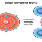H2O Polar Covalent Bonds
