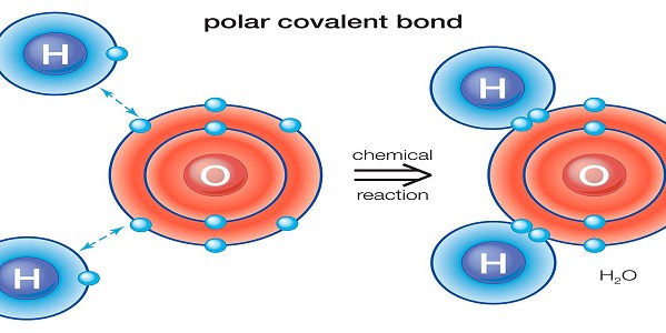 Polar And Nonpolar Covalent Bonds Definitions Molecules And Examples