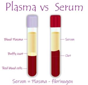 plasma seperation