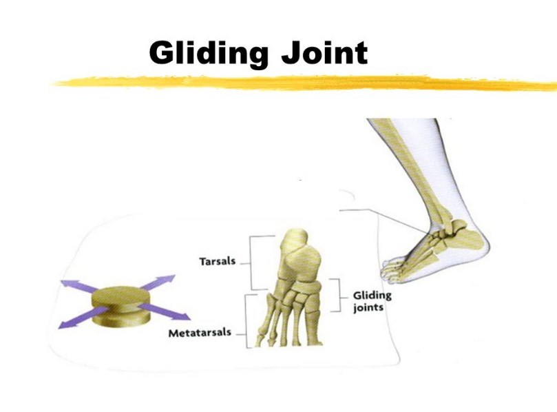 Gliding Joint Examples