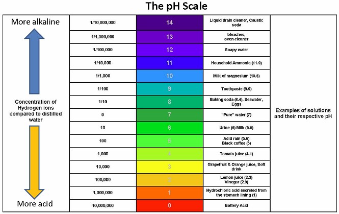 pH Calculator Scale