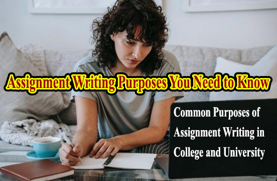 Assignment Writing Purposes You Need to Know