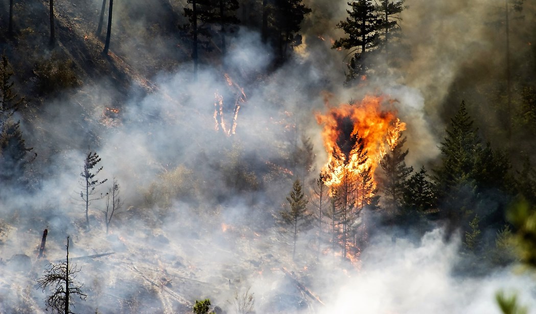 A Controlled Fire In Alberta, Canada, Set To Create A Barrier For Future Wildfires.