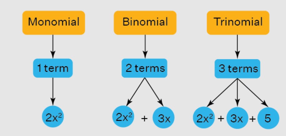 Monomial Binomial Trinomial