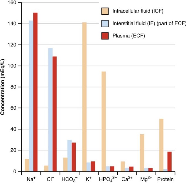 The Graph Shows The Composition Of The ICF, If, And Plasma. The Compositions Of Plasma And If Are Similar To One Another But Are Quite Different From The Composition Of The ICf.