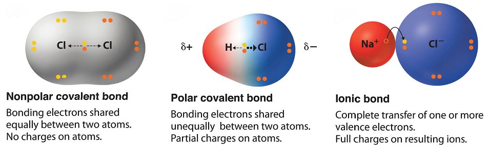 Ionic, Nonpolar Covalent, Or Polar Covalent