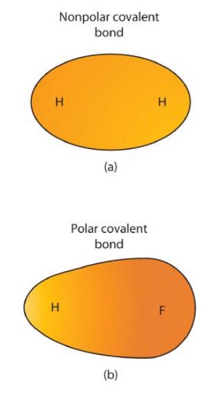 Polar Versus Nonpolar Covalent Bonds