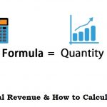 What is Total Revenue & How to Calculate it?