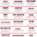 100+ Japanese Phrases & Words You Should Learn