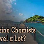 Do Marine Chemists Travel a Lot?